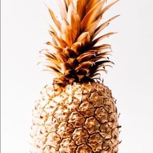 Meet your Posher, Ava